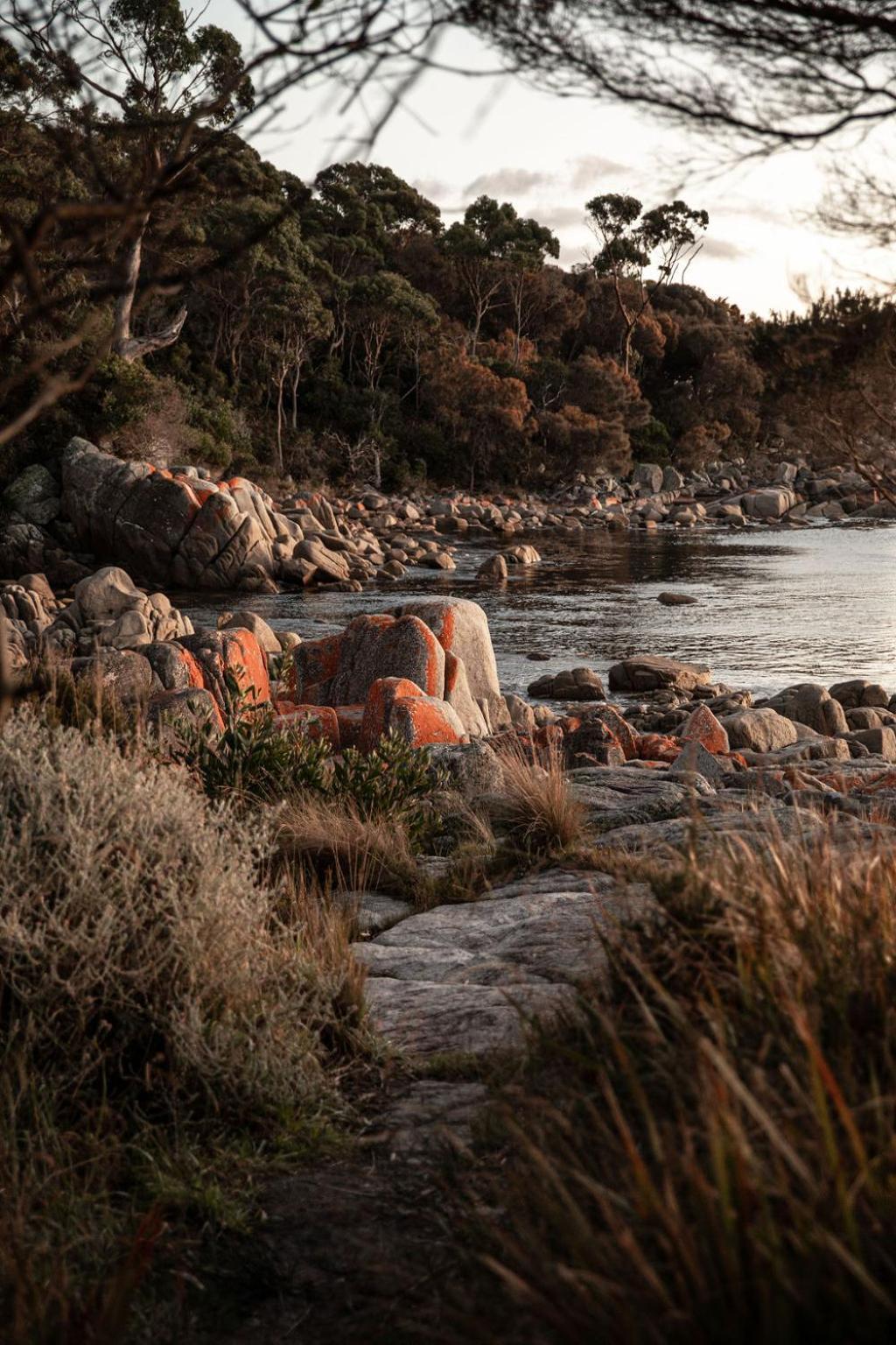 Вілла Driftwood Rest Binalong Bay Sleeps 4 Екстер'єр фото