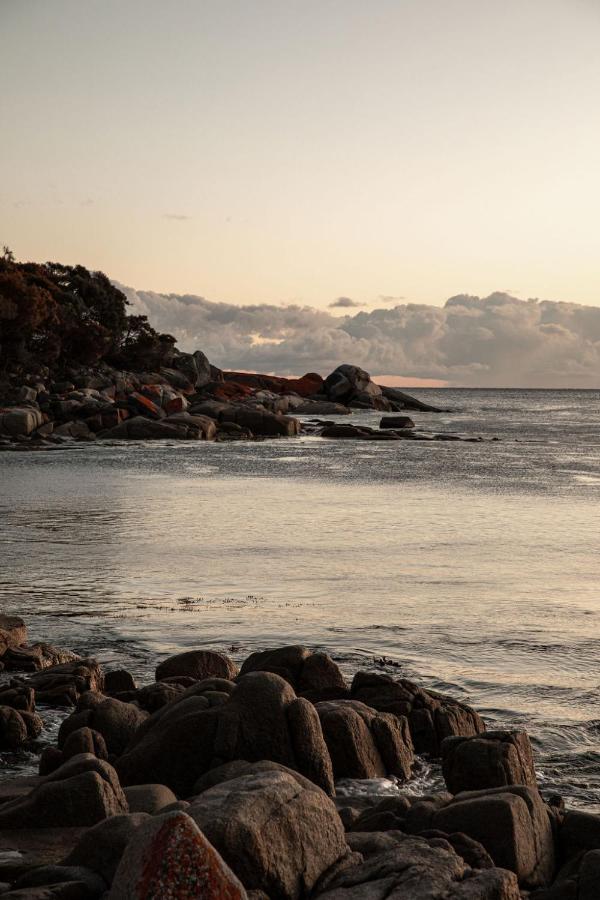 Вілла Driftwood Rest Binalong Bay Sleeps 4 Екстер'єр фото